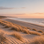 Panorama plage du nord Côte d'Opale sauvage