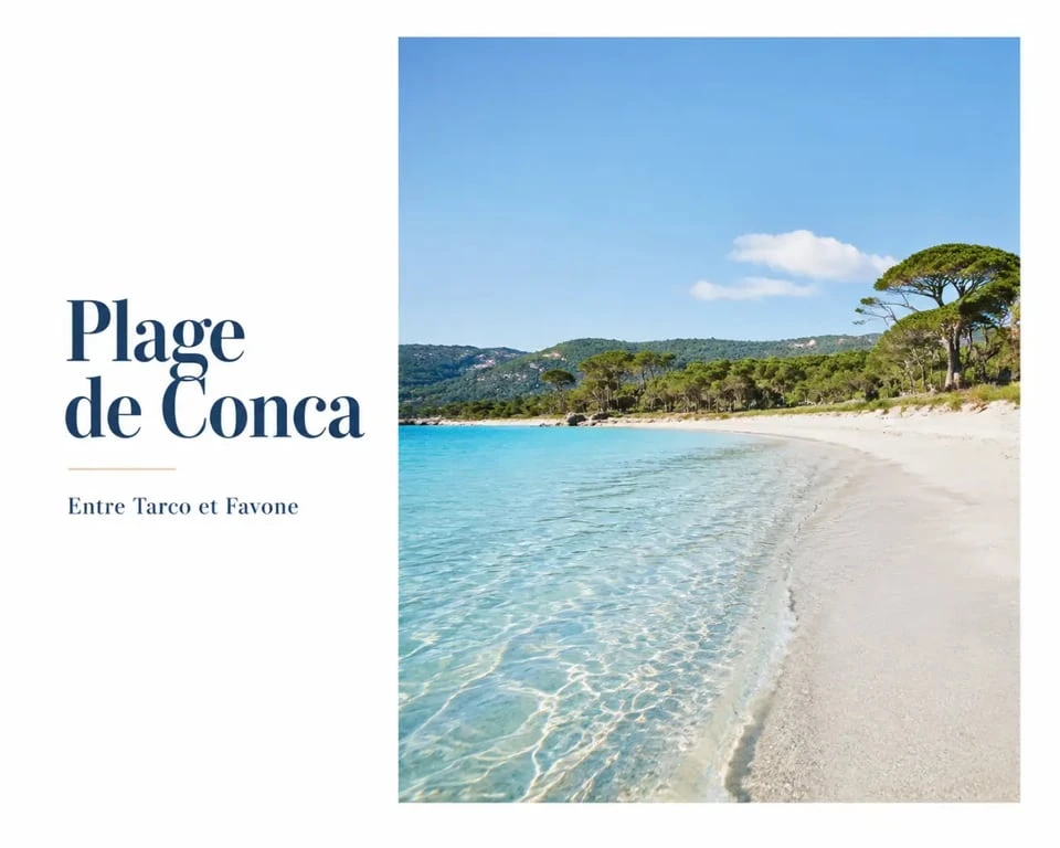 Que faire a Conca Corse : plage de Tarco avec eau turquoise près de Conca